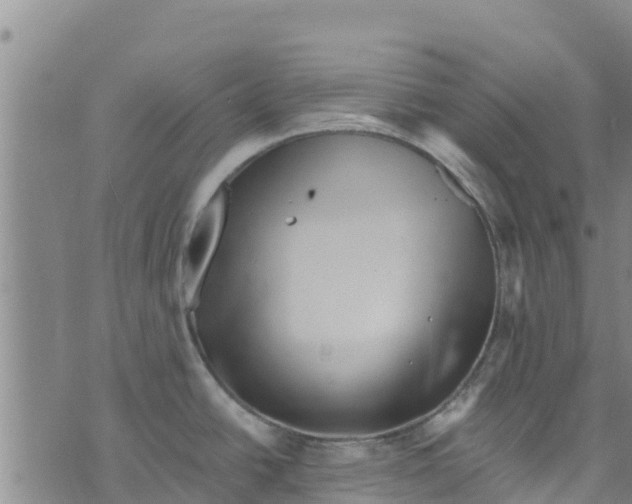 X0000073701438200608311719