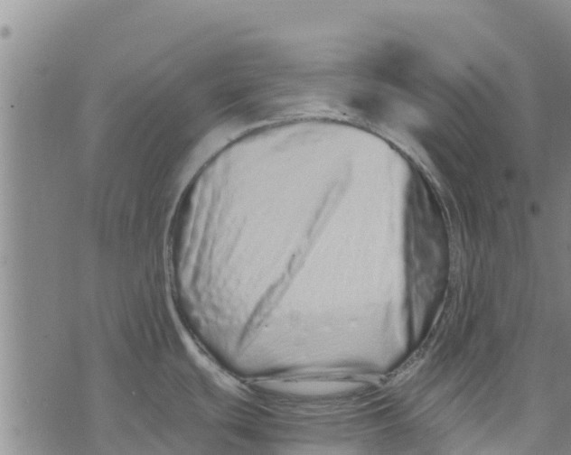 X0000073701439200608311719