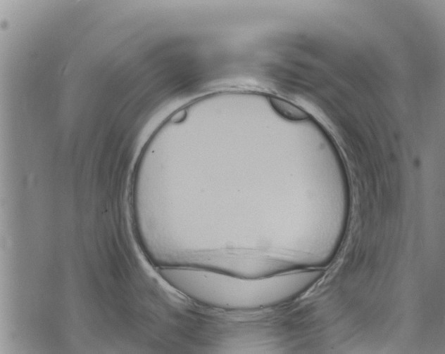 X0000073701440200608311719