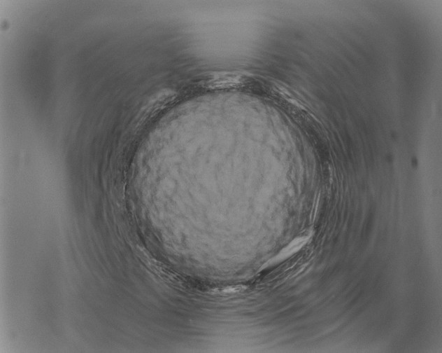 X0000073701441200608311718