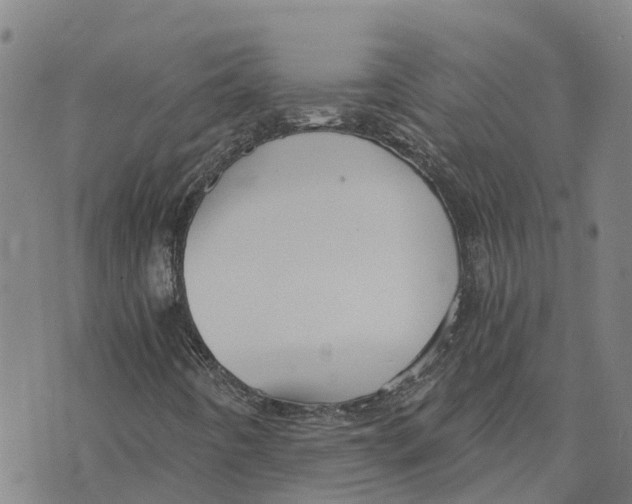 X0000073701442200608311718