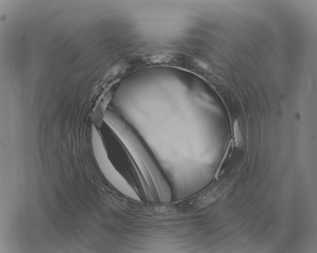 X0000073701443200608311718