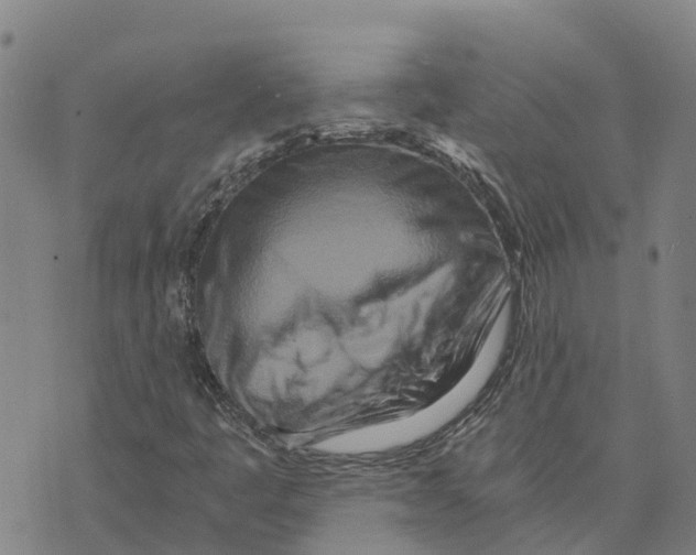 X0000073701445200608311718