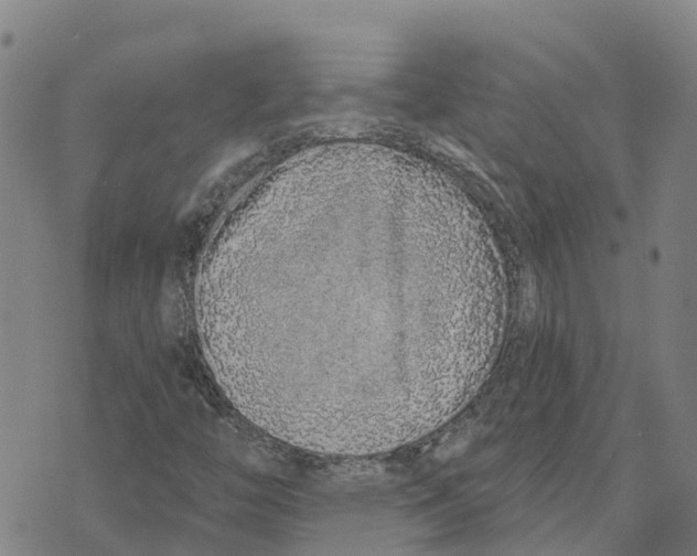 X0000073701446200608311718