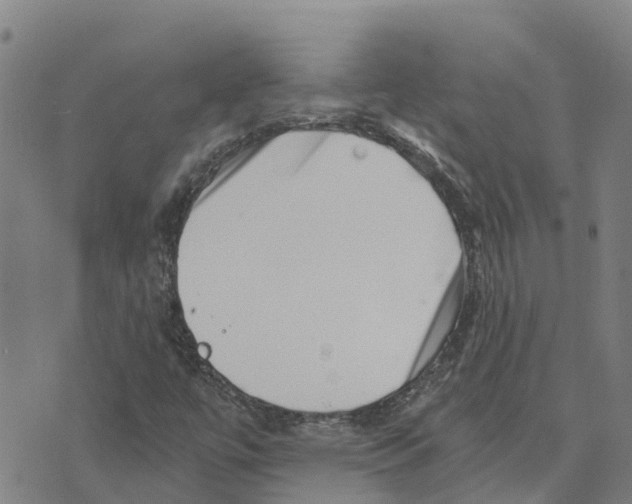 X0000073701447200608311718