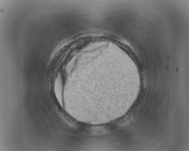 X0000073701448200608311718