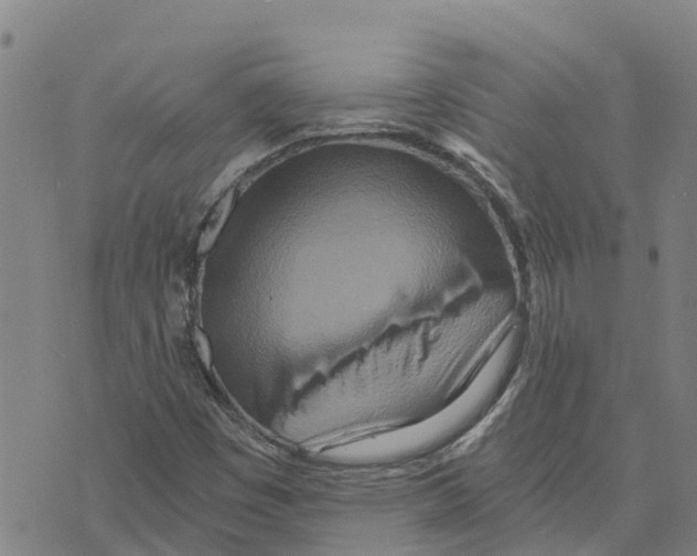 X0000073701449200608311718