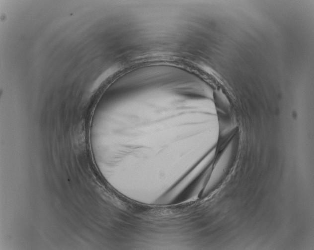 X0000073701450200608311718