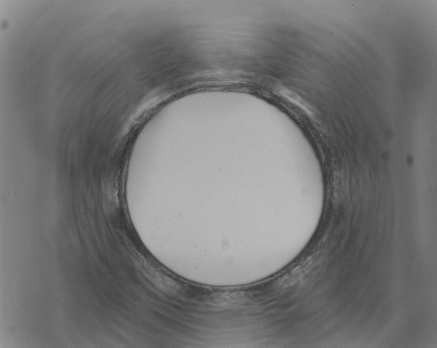 X0000073701451200608311718