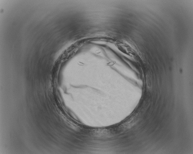 X0000073701452200608311718