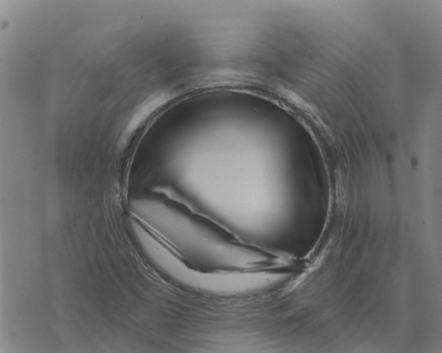 X0000073701453200608311718