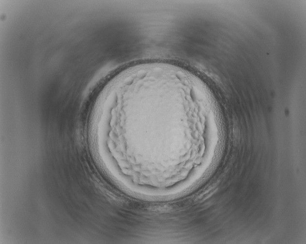 X0000073701454200608311718