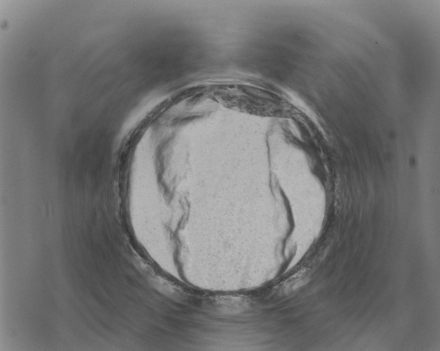 X0000073701456200608311718