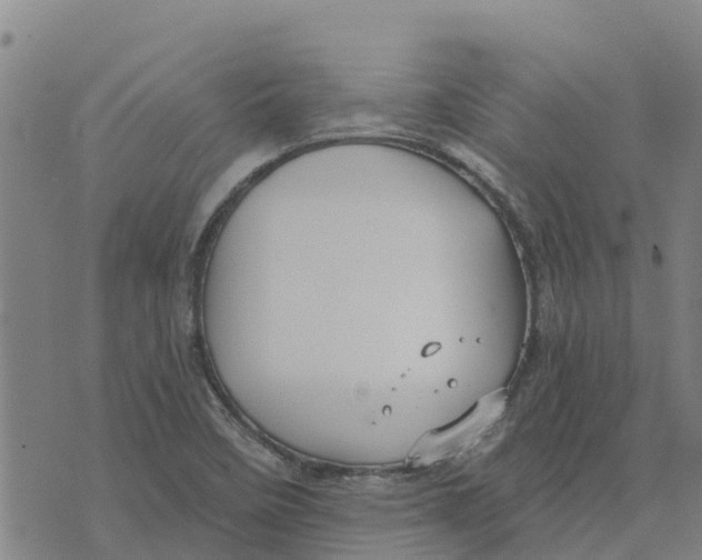 X0000073701458200608311718