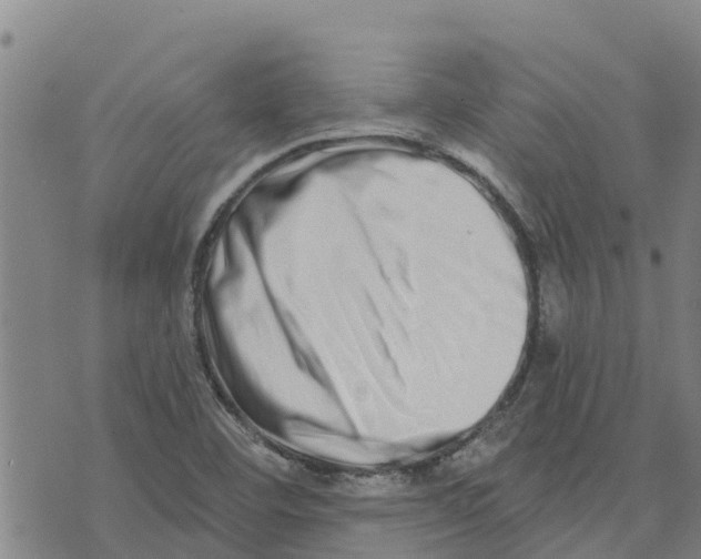 X0000073701460200608311717