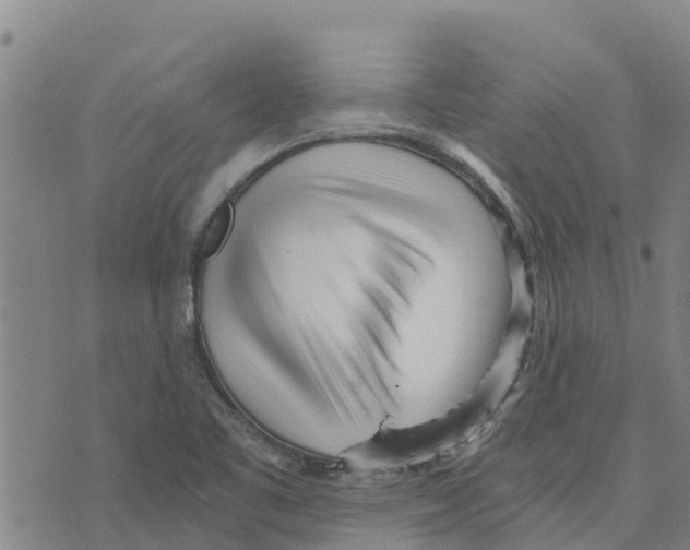 X0000073701461200608311717