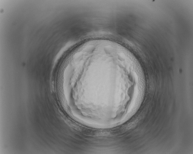 X0000073701462200608311717