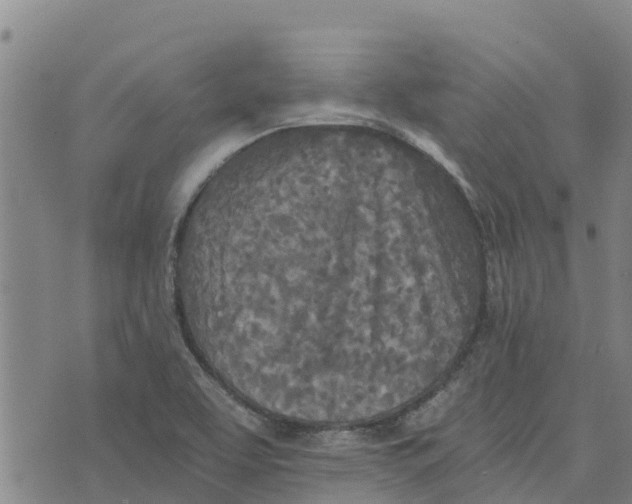 X0000073701463200608311717