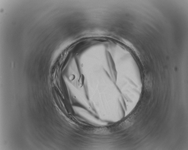 X0000073701464200608311717