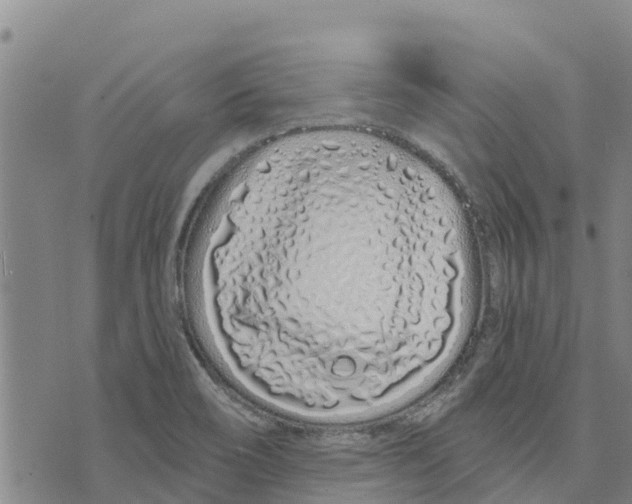 X0000073701466200608311717