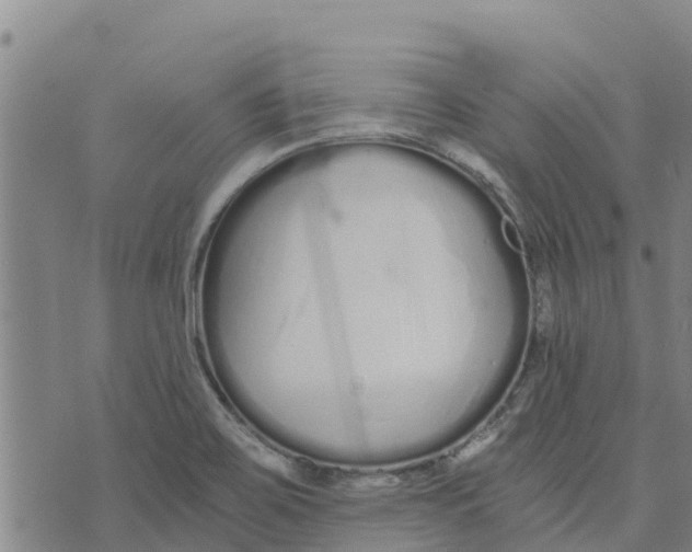 X0000073701467200608311717