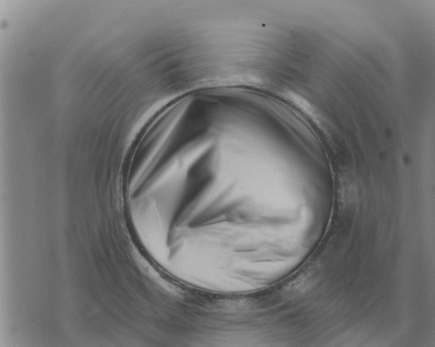 X0000073701468200608311717