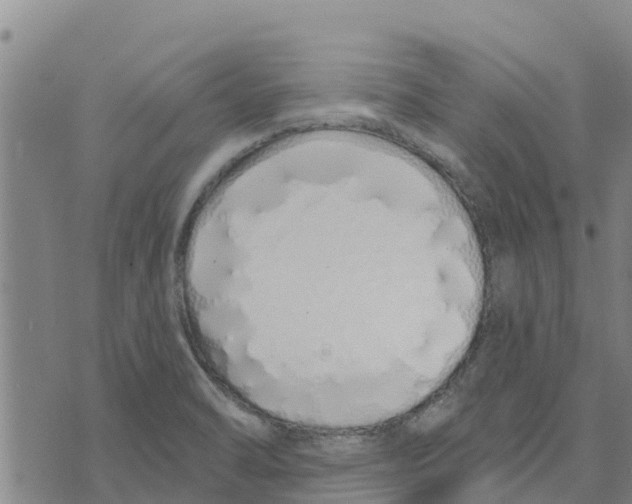 X0000073701470200608311717