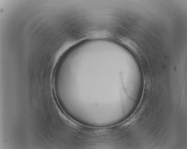 X0000073701471200608311717