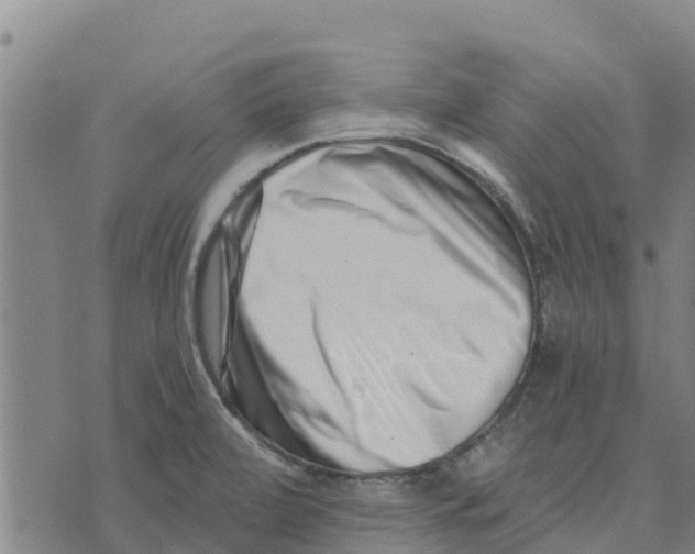 X0000073701472200608311717