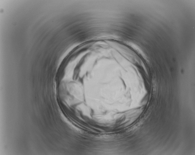 X0000073701476200608311717