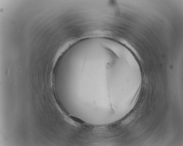 X0000073701477200608311717