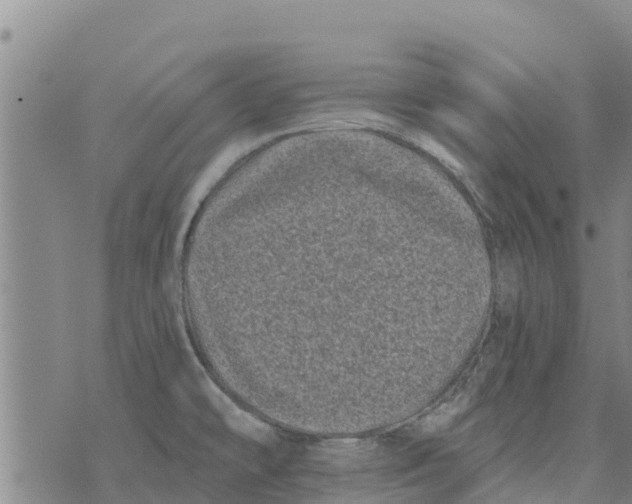 X0000073701478200608311717