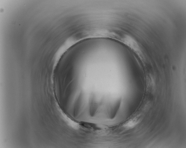 X0000073701480200608311717