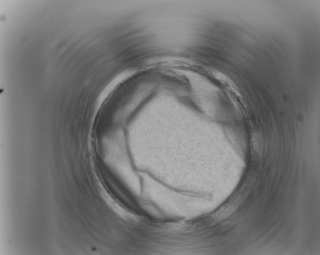 X0000073701482200608311717