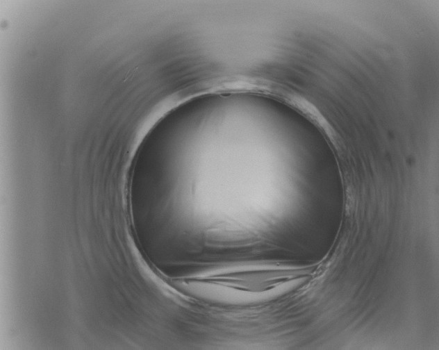 X0000073701483200608311717