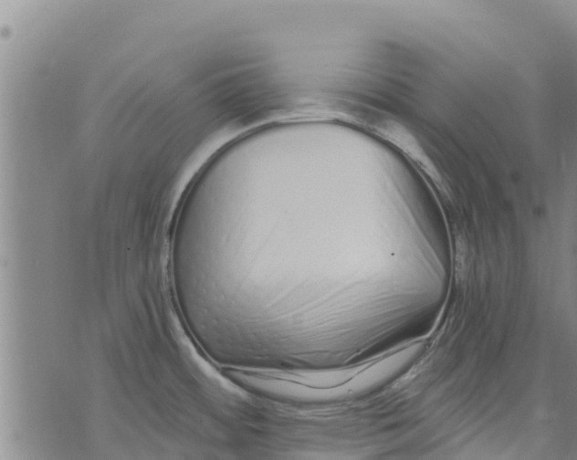 X0000073701484200608311717