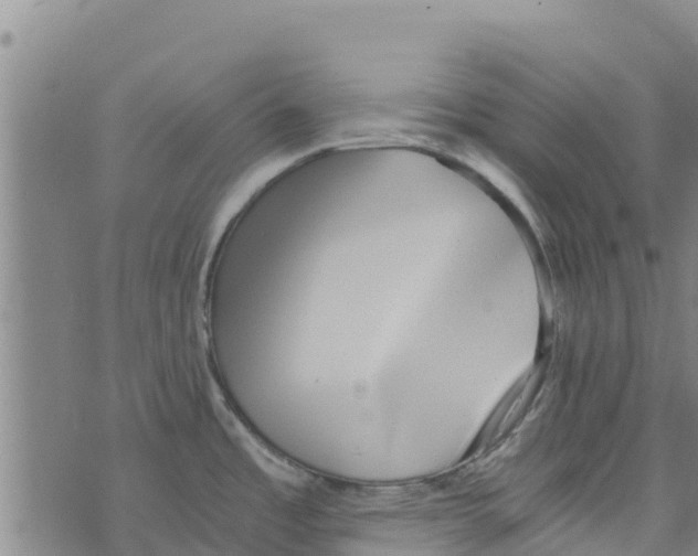 X0000073701485200608311717