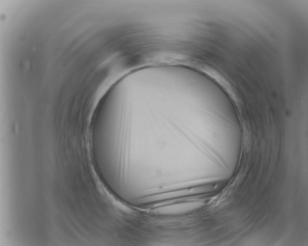 X0000073701486200608311717