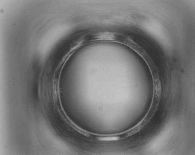 X0000073701487200608311717