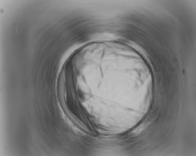 X0000073701488200608311717