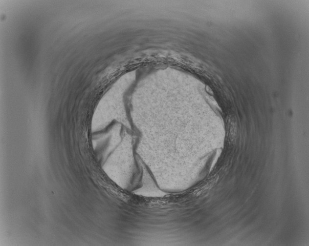 X0000073701489200608311716