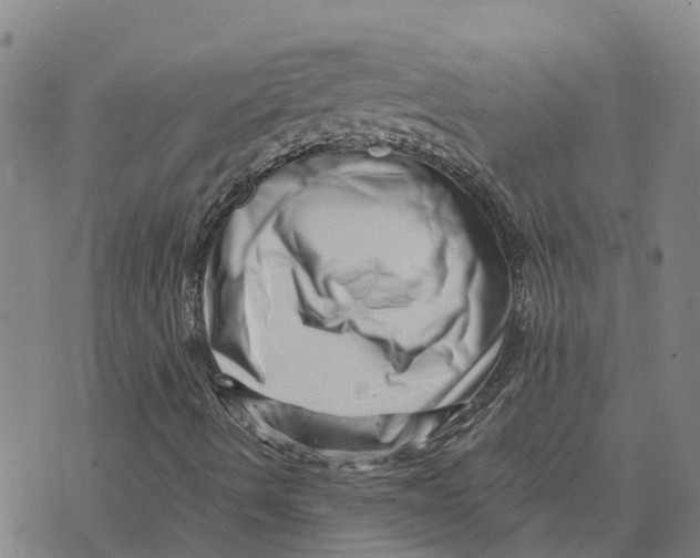 X0000073701490200608311716