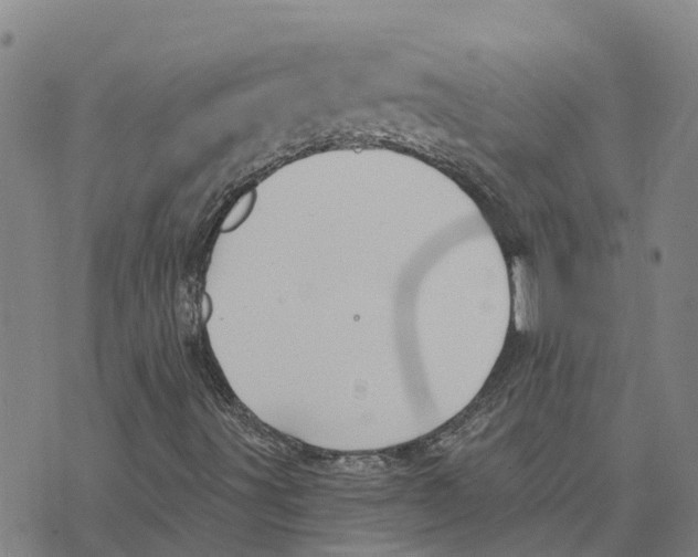 X0000073701491200608311716