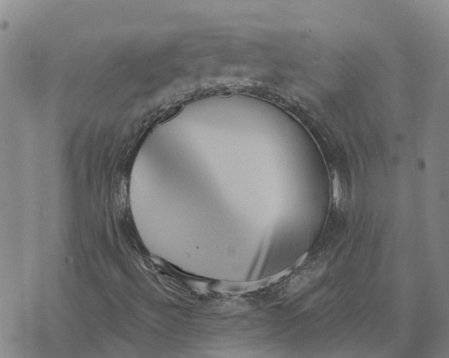 X0000073701492200608311716