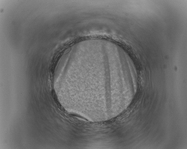 X0000073701493200608311716