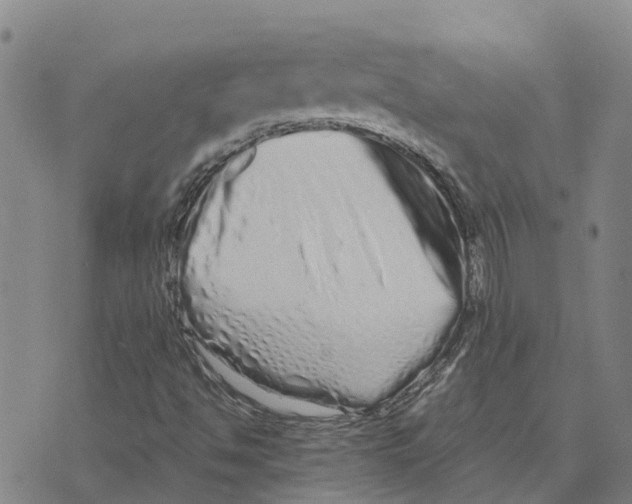 X0000073701494200608311716