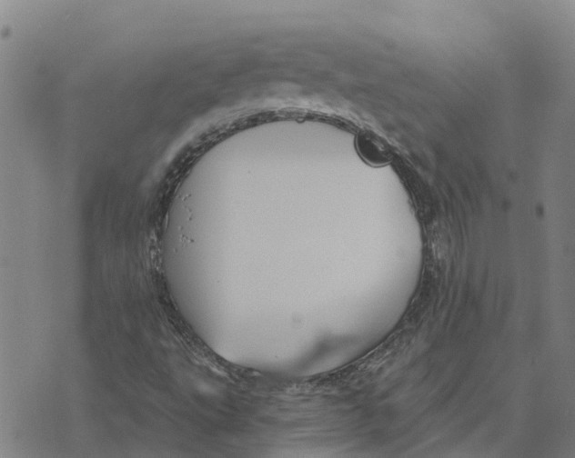 X0000073701495200608311716