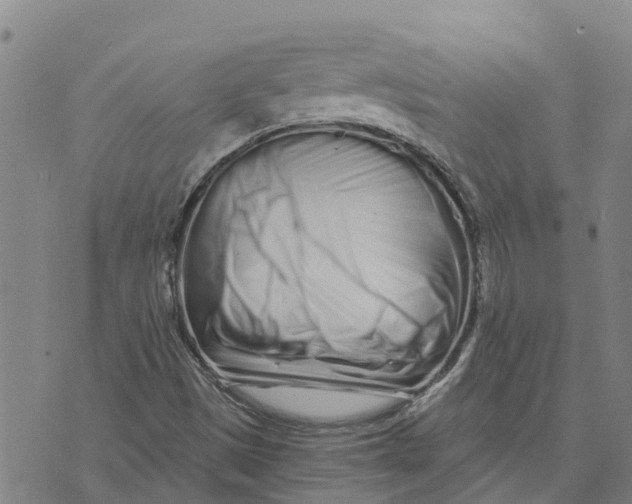 X0000073701497200608311716