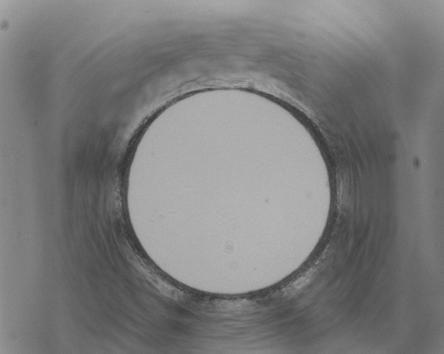 X0000073701498200608311716