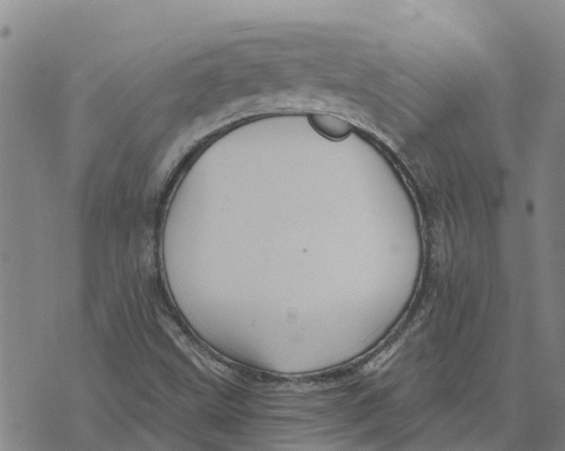 X0000073701499200608311716